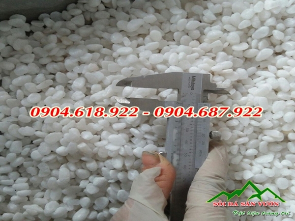 kho-ban-soi-trang-quay-gia-re-tai-ha-noi (1)