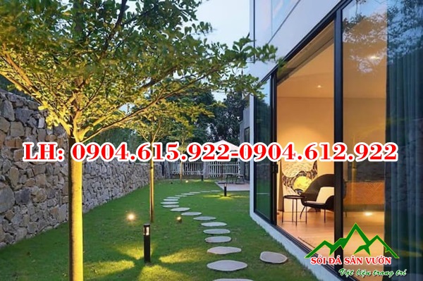 da-buoc-dao-xanh-reu-trang-tri