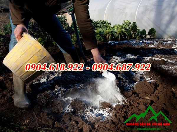 vai-tro-cua-voi-bot-nong-nghiep-doi-voi-cay-trong (1)