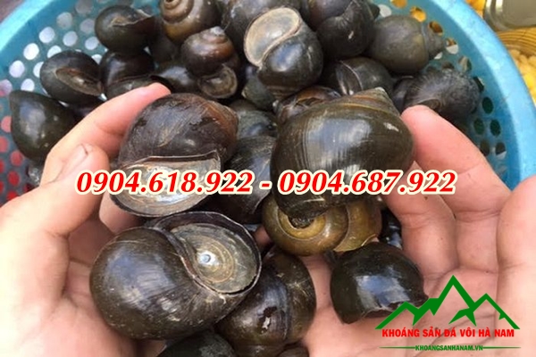 vai-tro-cua-voi-dolomite-xam-trong-san-xuat-phan-bon (5)