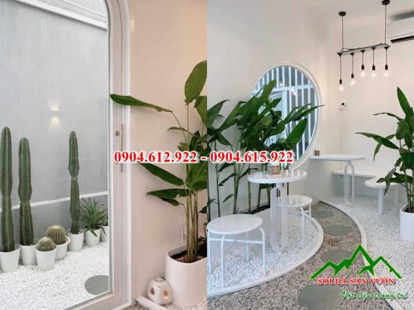 mua sỏi trắng trang trí quán cafe ở đâu