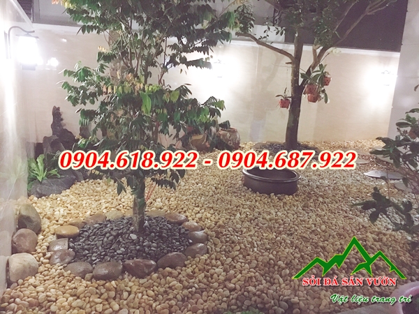 tai-sao-nen-su-dung-soi-rai-goc-cay (9)