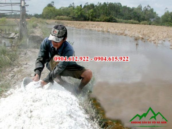 mua vôi bột cho thủy sản ở đâu