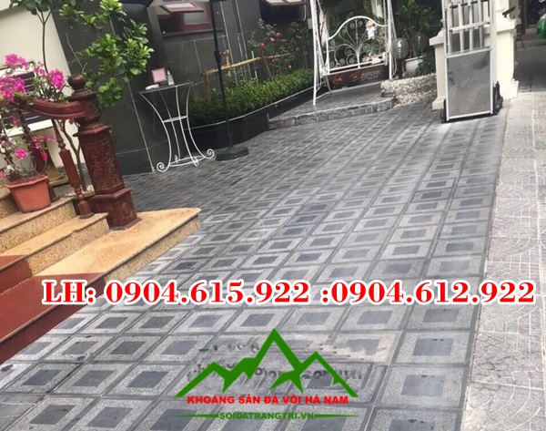 da-lat-san-mau-xanh-den