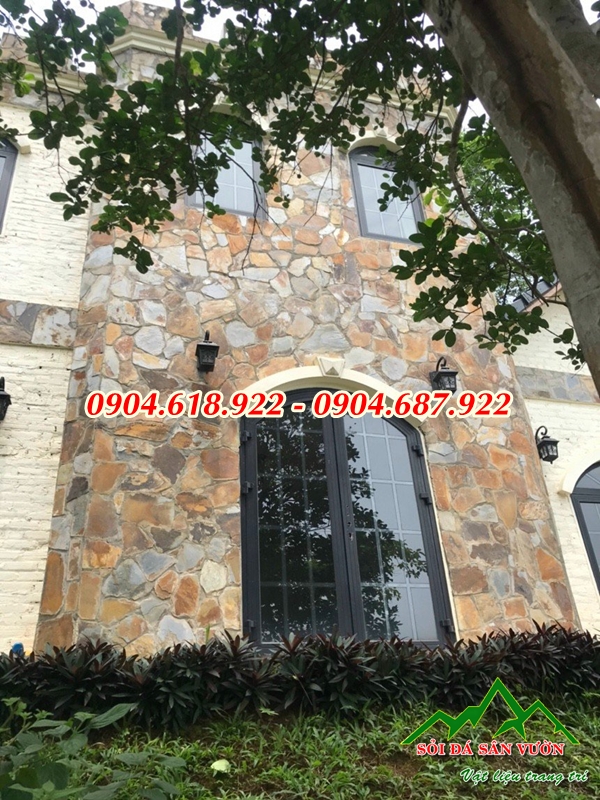 phan-phoi-da-roi-da-sac-gia-re (16)