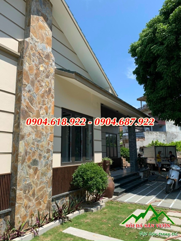 phan-phoi-da-roi-da-sac-gia-re (15)