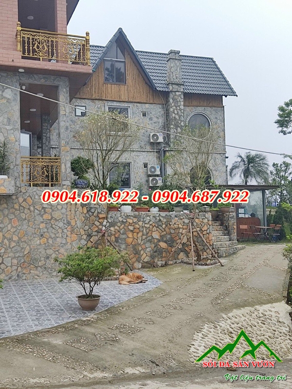 phan-phoi-da-roi-da-sac-gia-re (14)