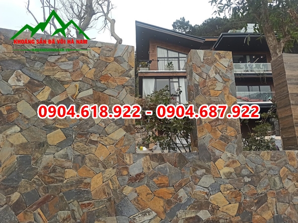 phan-phoi-da-roi-da-sac-gia-re (19)