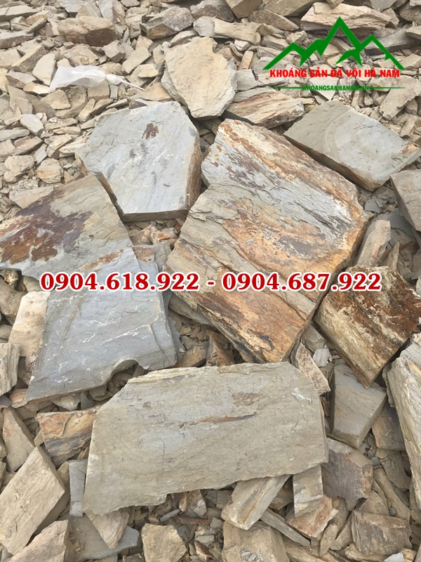 phan-phoi-da-roi-da-sac-gia-re (1)