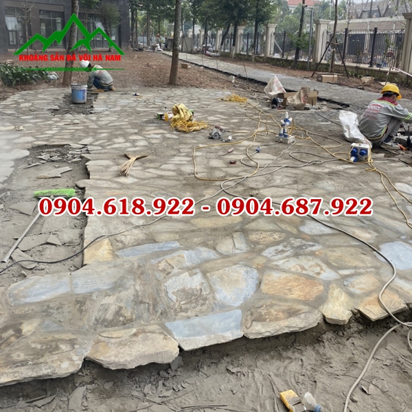 phan-phoi-da-roi-da-sac-gia-re (7)