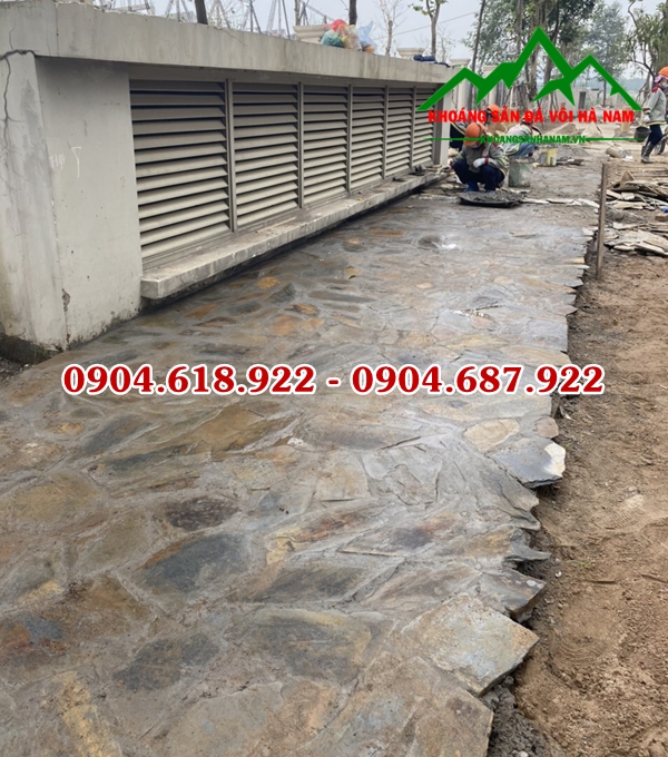 phan-phoi-da-roi-da-sac-gia-re (6)