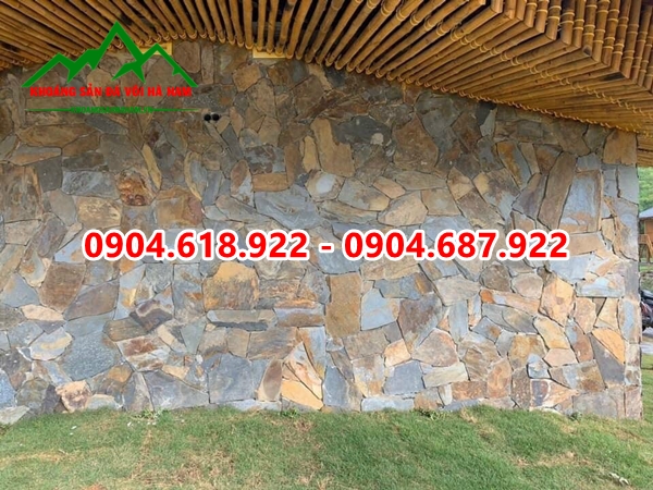 phan-phoi-da-roi-da-sac-gia-re (8)