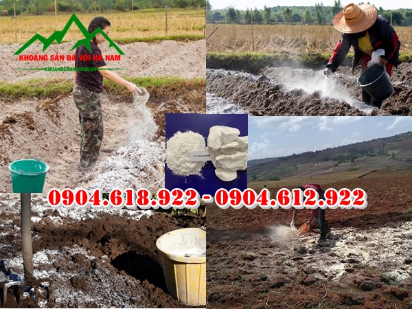 bon-voi-cai-tao-dat-co-cong-dung-gi (1)