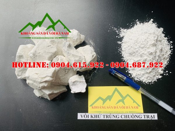 voi-bot-khu-trung-diet-khuan