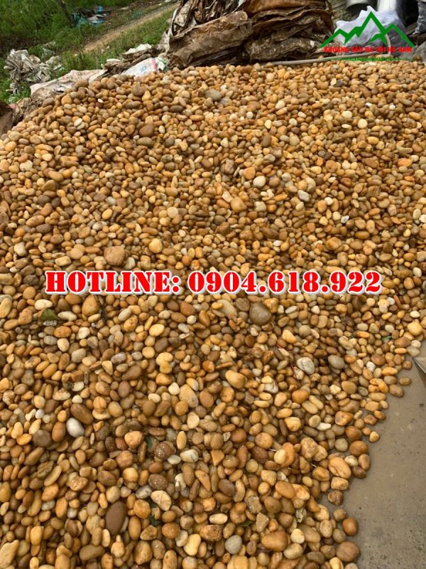 ban-soi-cuoi-vang-tu-nhien-gia-re (1)