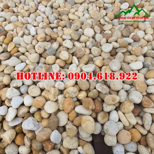 ban-soi-cuoi-vang-tu-nhien-gia-re (2)