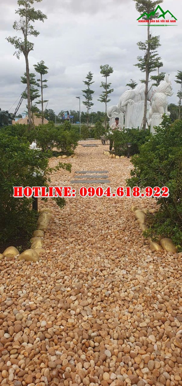 ban-soi-cuoi-vang-tu-nhien-gia-re (4)