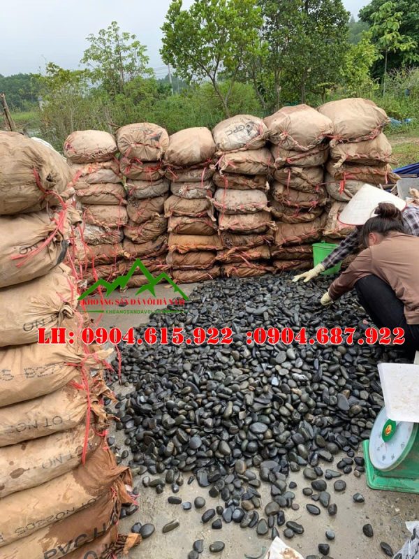 soi-mau-den-tu-nhien