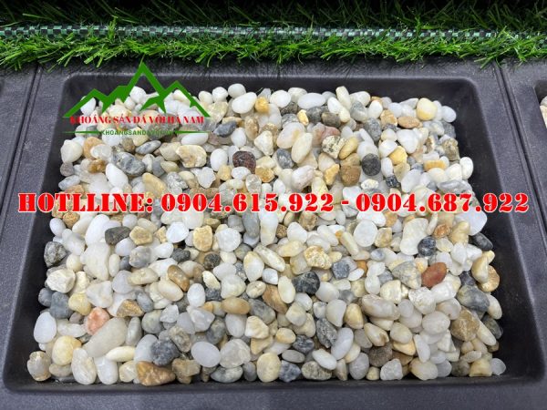 soi-bien-da-sac-tu-nhien