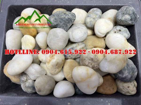 soi-nhat-tu-nhien-chong-reu-moc