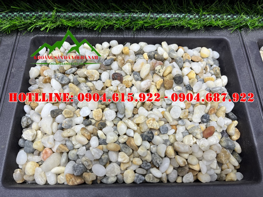 soi-nhat-tu-nhien-chong-reu-moc