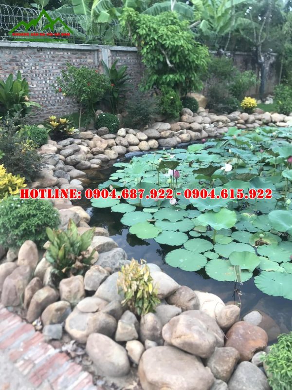 đá cuội làm hồ cá tự nhiên