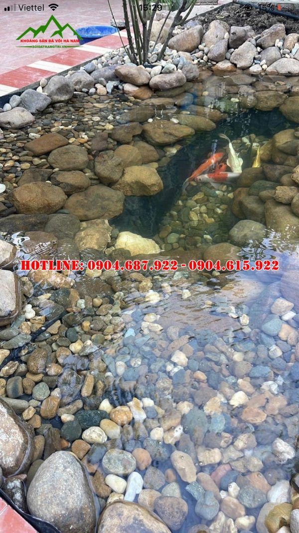 đá cuội làm lòng hồ cá tự nhiên