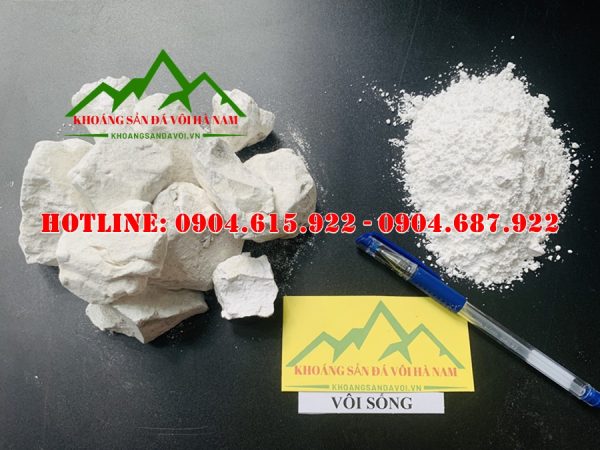 voi-cuc-voi-bot-cong-nghiep