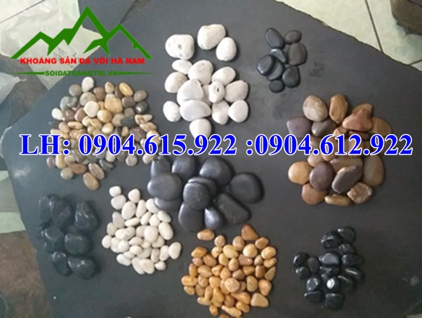 soi-tu-nhien-trang-tri-san-vuon-nha-dep