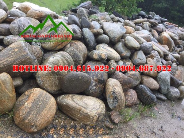 soi-tu-nhien-trang-tri-san-vuon-nha-dep