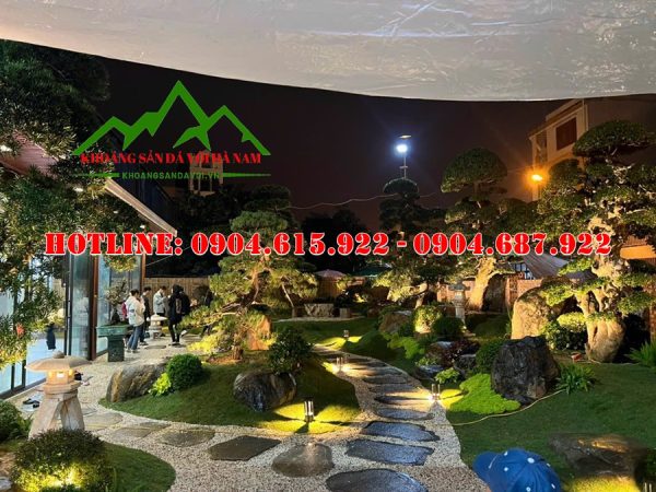 soi-tu-nhien-trang-tri-san-vuon-nha-dep