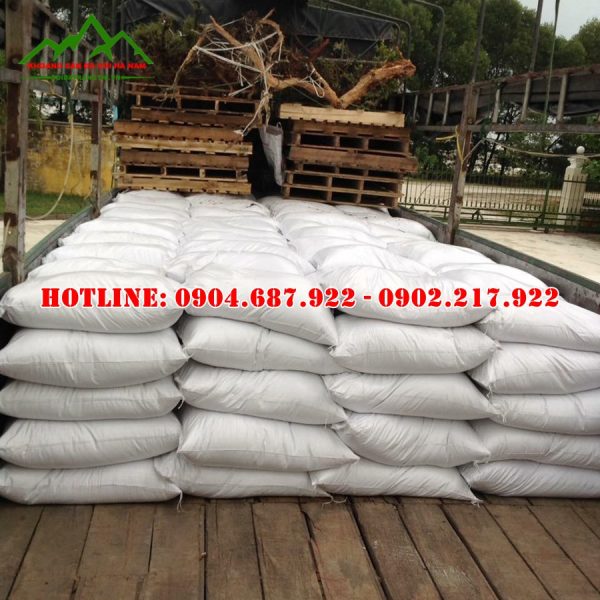 phân phối cát trắng tự nhiên