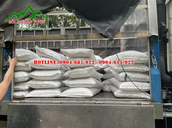 cung cấp cát trắng toàn việt nam
