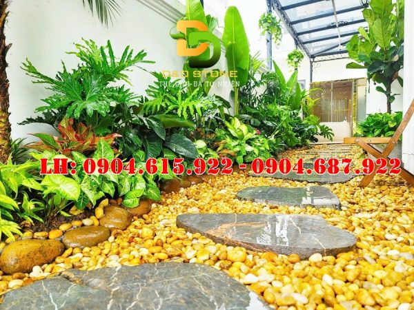 soi-tu-nhien-trang-tri-san-vuon